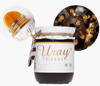 URAY MADU TRIGONA 20 X 300 GR